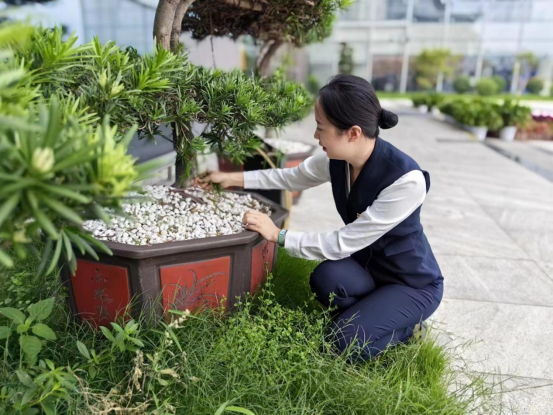 1694072585603305.png image.png